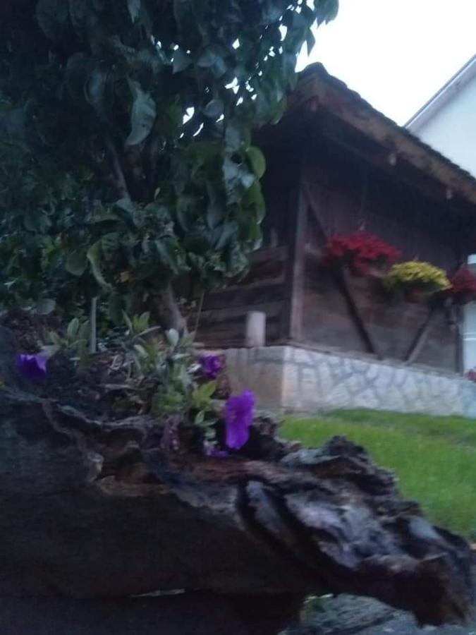 Djurdja Apartment Arandjelovac Exterior foto